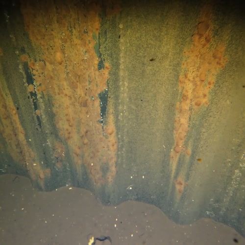 Sprinklertank-Inspektion: Stahltank, 30 Jahre – Behaelterwand Behaelterboden Korrosion Loeschwasserbehaelter